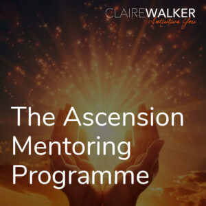 The Ascension Mentoring Programme