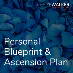 Personal Blueprint and Ascension Plan