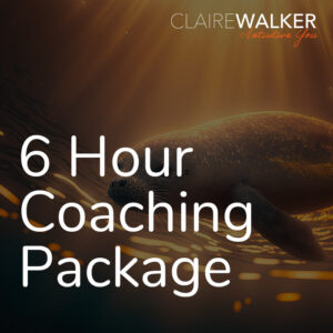 Claire Walker 6 Hours Coaching Package
