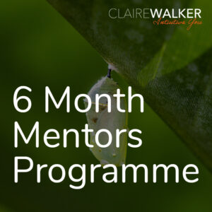 Claire Walker 6 Month Mentors Programme