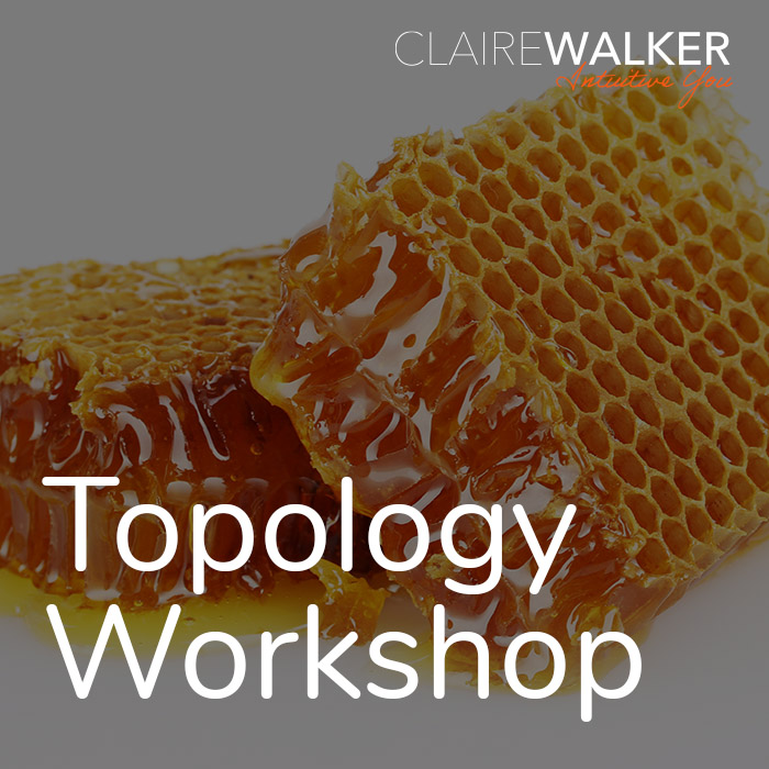 Topology visual data 4